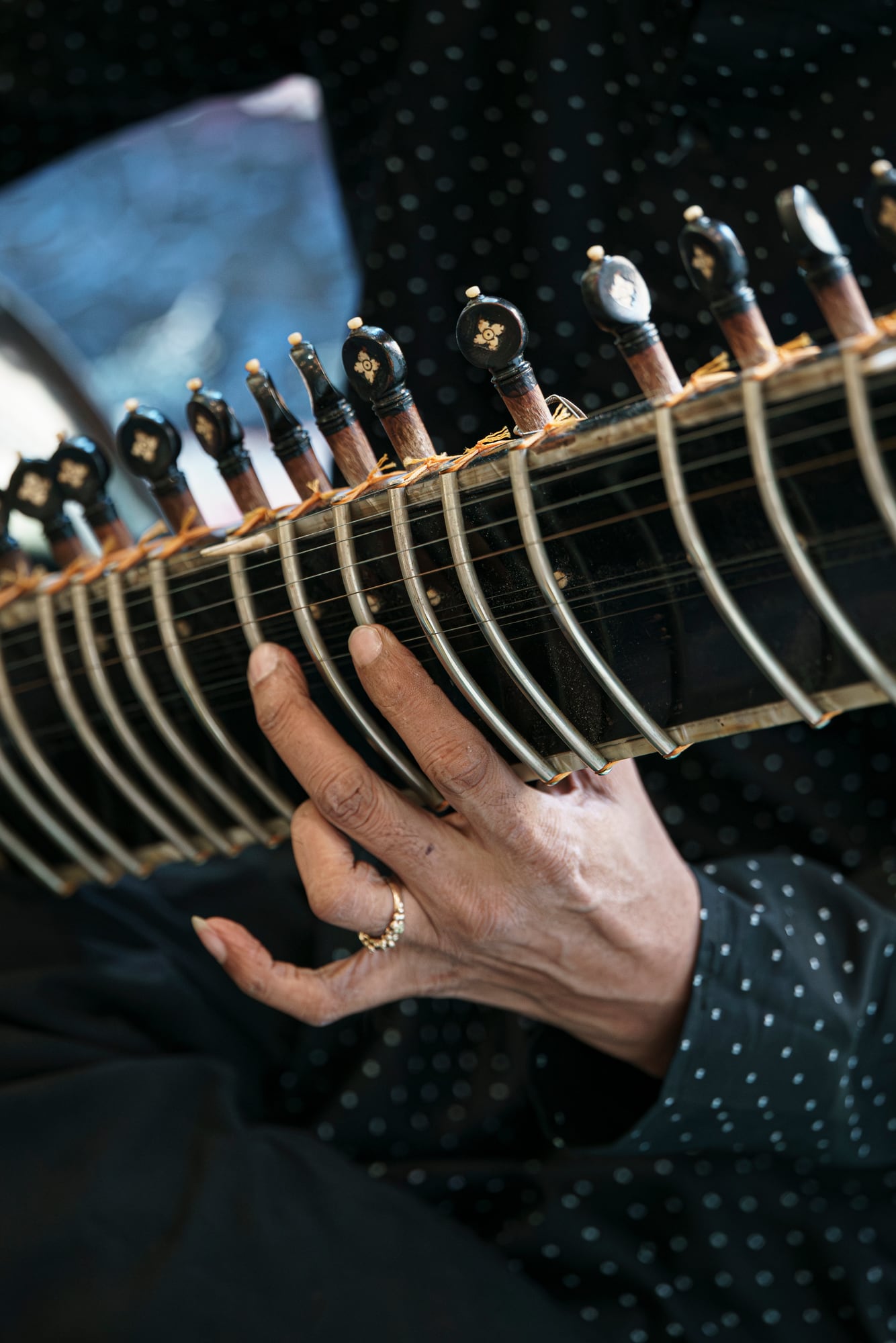 Sitar pegs and strings